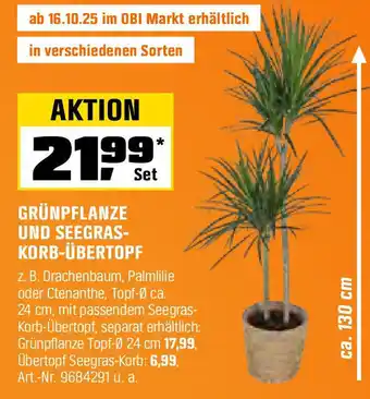 OBI GRÜNPFLANZE UND SEEGRAS- KORB-ÜBERTOPF Angebot