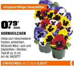 OBI HORNVEILCHEN Angebot