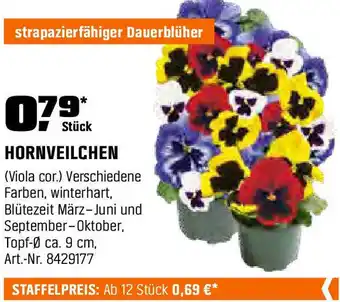 OBI HORNVEILCHEN Angebot