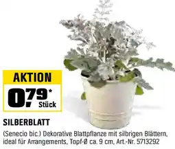 OBI SILBERBLATT Angebot