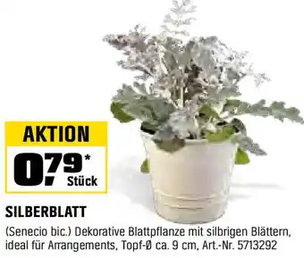 OBI SILBERBLATT Angebot