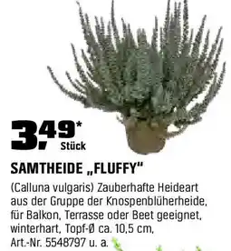 OBI SAMTHEIDE "FLUFFY" Angebot