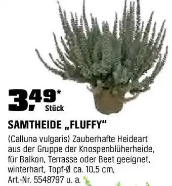 OBI SAMTHEIDE "FLUFFY" Angebot
