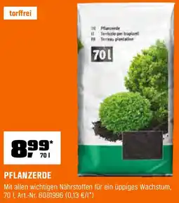 OBI PFLANZERDE Angebot