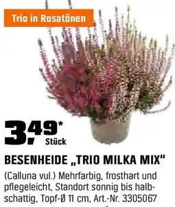 OBI BESENHEIDE,TRIO MILKA MIX" Angebot
