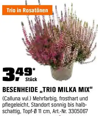 OBI BESENHEIDE,TRIO MILKA MIX" Angebot