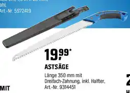 OBI ASTSÄGE Angebot