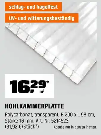 OBI HOHLKAMMERPLATTE Angebot