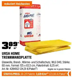OBI URSA HOME TRENNWANDPLATTE Angebot