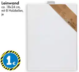 TEDi Leinwand Angebot