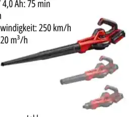 OBI Einhell Akku-Laubbläser GE-UB 18/250 Li E-Kit Angebot