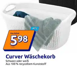 Action Curver Wäschekorb Angebot