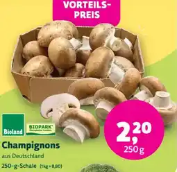 Biomarkt Champignons Angebot