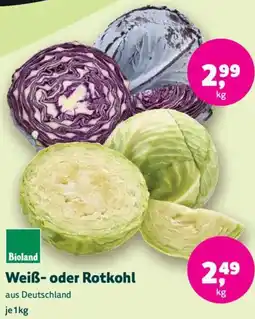 Biomarkt Weiß- oder Rotkohl Angebot