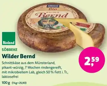 Biomarkt SÖBBEKE Wilder Bernd Angebot