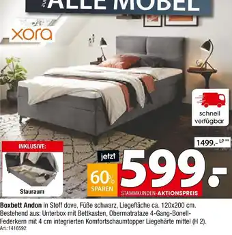 Zurbrüggen Xora boxbett andon Angebot