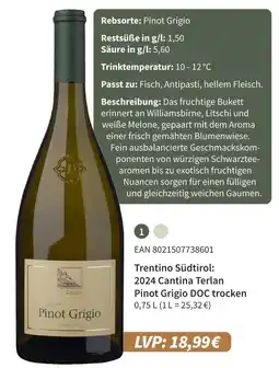 E-Center 2024 cantina terlan pinot grigio doc trocken Angebot