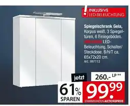 Zurbrüggen Spiegelschrank gela Angebot