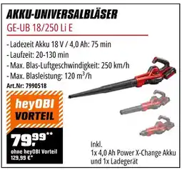 OBI Einhell akku-universalbläser ge-ub 18/250 li e Angebot