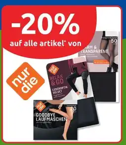 Budni Nur die warm & transparent Angebot