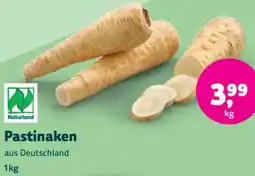 Biomarkt Pastinaken Angebot