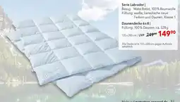 Matratzen Concord Serie labrador Angebot