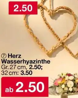 Woolworth Herz Wasserhyazinthe Angebot