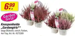 toom Baumarkt Knospenheide „Gardengirls" Angebot