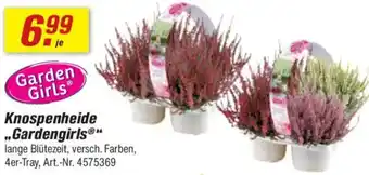 toom Baumarkt Knospenheide „Gardengirls" Angebot