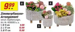 toom Baumarkt Zimmerpflanzen Arrangement Angebot