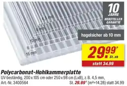 toom Baumarkt Polycarbonat-Hohlkammerplatte Angebot