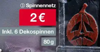 Woolworth Spinnennetz Angebot