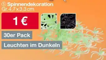 Woolworth Spinnendekoration Angebot