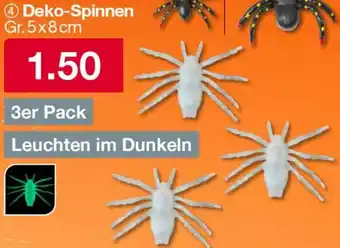 Woolworth Deko-Spinnen Angebot