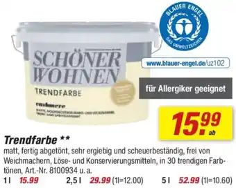 toom Baumarkt SCHÖNER WOHNEN Trendfarbe Angebot