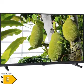 Netto Marken-Discount Philips LED-Fernseher 32PHS6000/12 Angebot