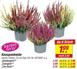 toom Baumarkt Garden Girls Knospenheide Angebot