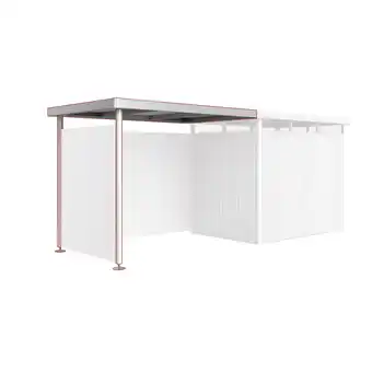 toom Baumarkt Biohort Seitendach silber-metallic 282 x 195 x 222 cm für Gerätehaus 'HighLine' H2 Angebot