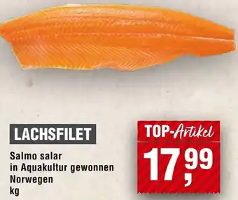 Handelshof Lachsfilet Angebot