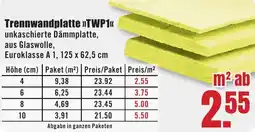 B1 Discount Baumarkt Trennwandplatte TWP1 Angebot