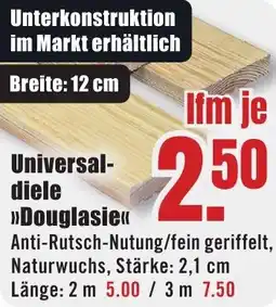 B1 Discount Baumarkt Universaldiele Douglasie Angebot