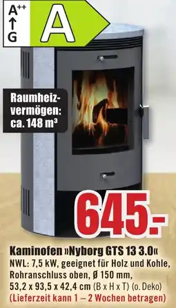 B1 Discount Baumarkt Kaminofen Nyborg GTS 13 3.0 Angebot