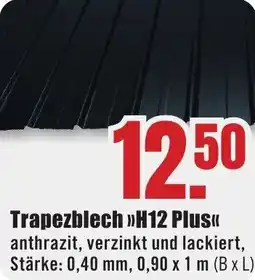B1 Discount Baumarkt Trapezblech H12 Plus Angebot