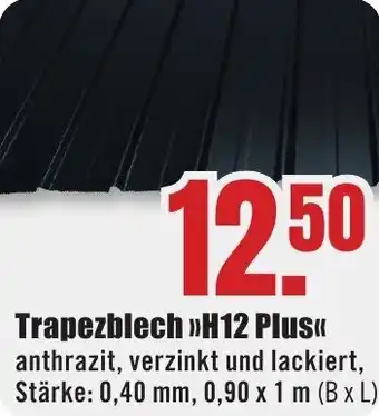 B1 Discount Baumarkt Trapezblech H12 Plus Angebot