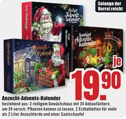 B1 Discount Baumarkt Anzucht Advents-Kalender Angebot