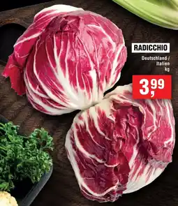 Handelshof Radicchio Angebot