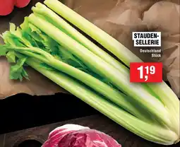Handelshof Staudensellerie Angebot