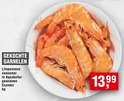Handelshof Gekochte garnelen Angebot