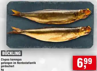 Handelshof Bückling Angebot