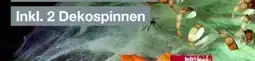 Woolworth Spinnennetz Halloween Angebot